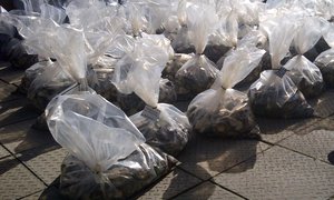 Duisende perlemoen gevind